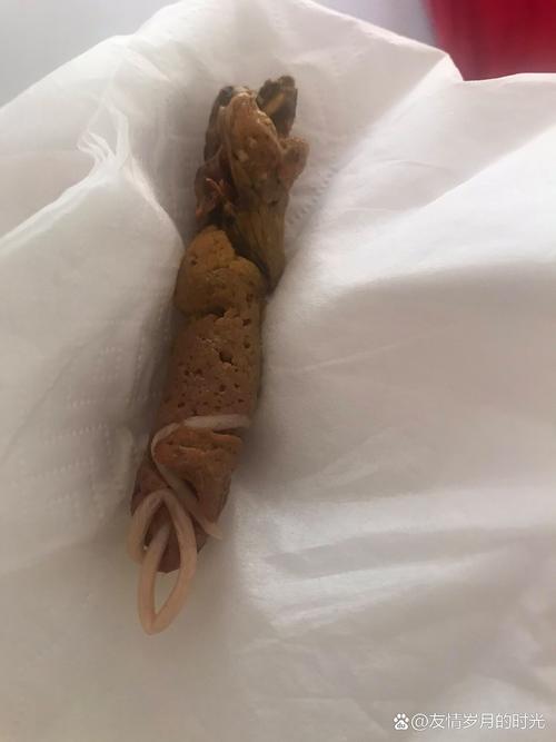 狗狗拉出绦虫严重嘛,狗狗拉绦虫严重吗?-第4张图片-后鲨宠物 狗狗拉出绦虫严重嘛,狗狗拉绦虫严重吗?-第4张图片-后鲨宠物