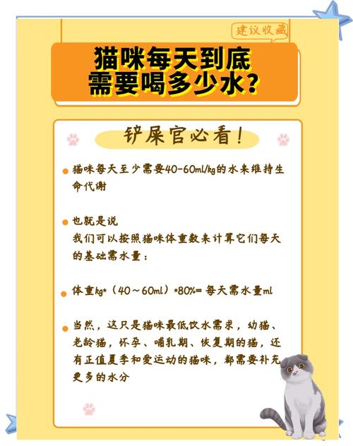 猫咪每天要喝多少水_猫每天要喝多少毫升的水-第5张图片-后鲨宠物 猫咪每天要喝多少水_猫每天要喝多少毫升的水-第5张图片-后鲨宠物