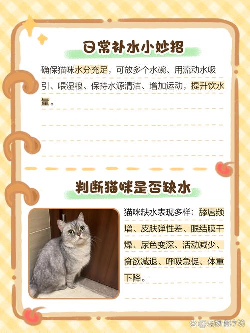 怎么给猫咪喂水_十个方法让猫咪多喝水-第2张图片-后鲨宠物 怎么给猫咪喂水_十个方法让猫咪多喝水-第2张图片-后鲨宠物