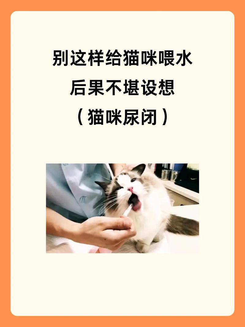 怎么给猫咪喂水_十个方法让猫咪多喝水-第4张图片-后鲨宠物 怎么给猫咪喂水_十个方法让猫咪多喝水-第4张图片-后鲨宠物