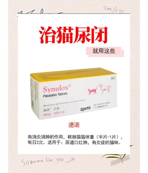 猫咪尿频吃什么药_猫猫闭尿吃什么药-第4张图片-后鲨宠物 猫咪尿频吃什么药_猫猫闭尿吃什么药-第4张图片-后鲨宠物