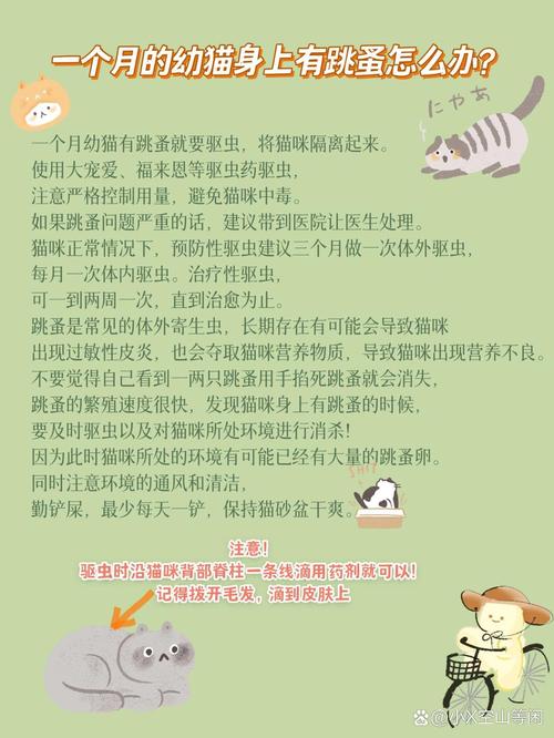 小猫咪身上有跳蚤怎么办_小猫身上有跳蚤怎么解决-第3张图片-后鲨宠物 小猫咪身上有跳蚤怎么办_小猫身上有跳蚤怎么解决-第3张图片-后鲨宠物