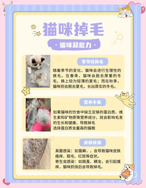 猫咪掉毛严重的原因,猫咪掉毛是什么原因?-第5张图片-后鲨宠物 猫咪掉毛严重的原因,猫咪掉毛是什么原因?-第5张图片-后鲨宠物