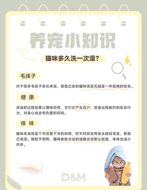 猫咪几天洗一次澡_猫咪几天洗一次澡合适呢-第1张图片-后鲨宠物 猫咪几天洗一次澡_猫咪几天洗一次澡合适呢-第1张图片-后鲨宠物