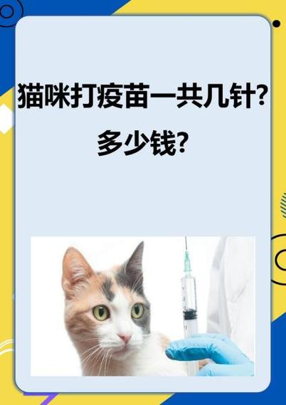 猫咪打疫苗需要多少钱,猫咪打疫苗要多少钱大概?-第1张图片-后鲨宠物 猫咪打疫苗需要多少钱,猫咪打疫苗要多少钱大概?-第1张图片-后鲨宠物