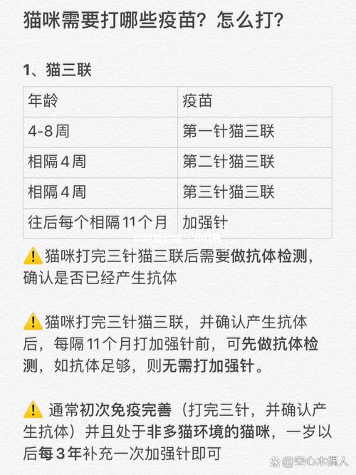 猫咪打疫苗需要多少钱,猫咪打疫苗要多少钱大概?-第4张图片-后鲨宠物 猫咪打疫苗需要多少钱,猫咪打疫苗要多少钱大概?-第4张图片-后鲨宠物