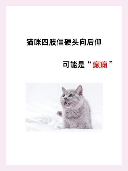 猫咪四肢僵硬头往后仰_猫咪四肢僵硬头往后仰是什么病-第6张图片-后鲨宠物 猫咪四肢僵硬头往后仰_猫咪四肢僵硬头往后仰是什么病-第6张图片-后鲨宠物