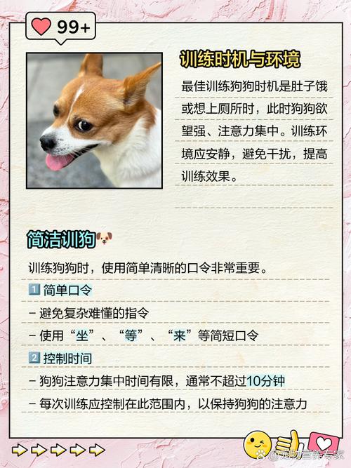 怎么样让狗狗听话,怎么样训狗狗才能让它听话-第5张图片-后鲨宠物 怎么样让狗狗听话,怎么样训狗狗才能让它听话-第5张图片-后鲨宠物