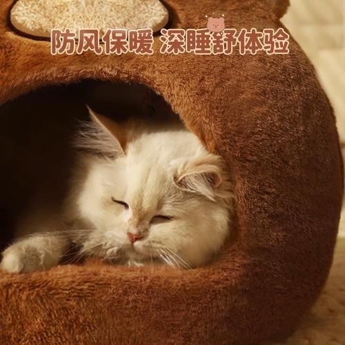 猫咪冬天会冷吗,猫咪冬天会冷吗用盖东西吗-第4张图片-后鲨宠物 猫咪冬天会冷吗,猫咪冬天会冷吗用盖东西吗-第4张图片-后鲨宠物