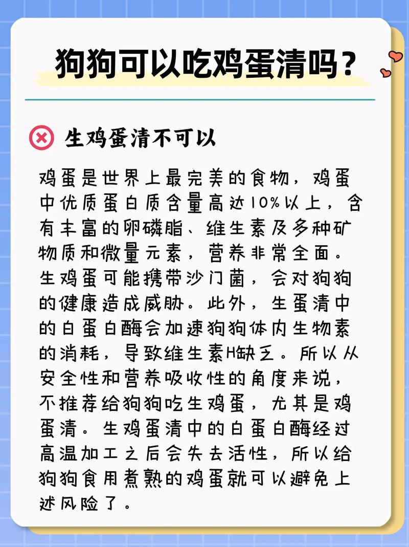 狗狗拉肚子能吃蛋黄吗,狗狗拉稀时可以吃蛋黄吗?-第5张图片-后鲨宠物 狗狗拉肚子能吃蛋黄吗,狗狗拉稀时可以吃蛋黄吗?-第5张图片-后鲨宠物