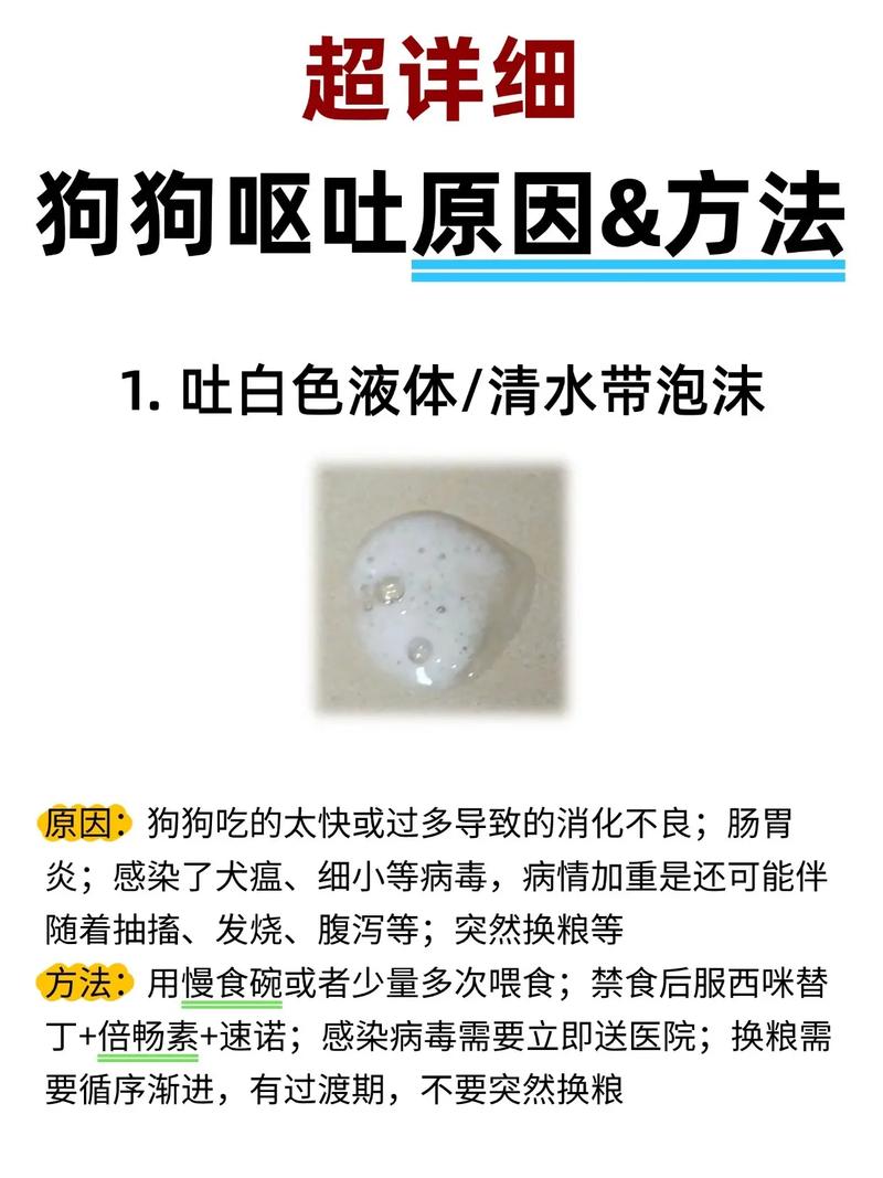 为什么狗狗会吐_为什么狗狗会吐黄泡沫-第3张图片-后鲨宠物