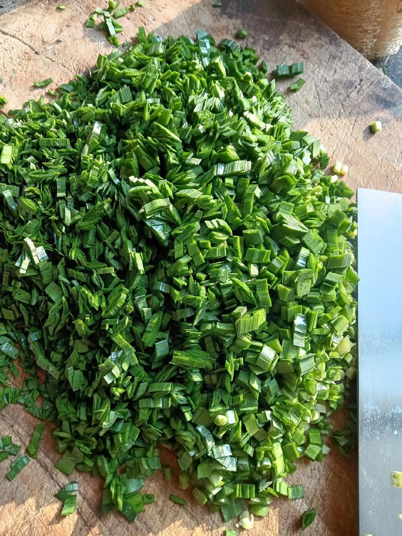 狗狗能吃韭菜鸡蛋吗,狗能吃韭菜鸡蛋馅儿的饺子吗-第1张图片-后鲨宠物 狗狗能吃韭菜鸡蛋吗,狗能吃韭菜鸡蛋馅儿的饺子吗-第1张图片-后鲨宠物