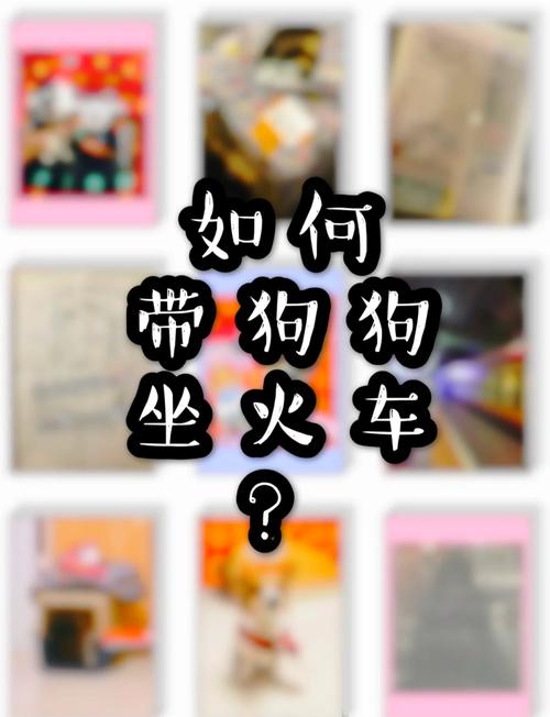 狗狗可以坐火车吗,狗狗可以上高铁动车吗?-第5张图片-后鲨宠物 狗狗可以坐火车吗,狗狗可以上高铁动车吗?-第5张图片-后鲨宠物