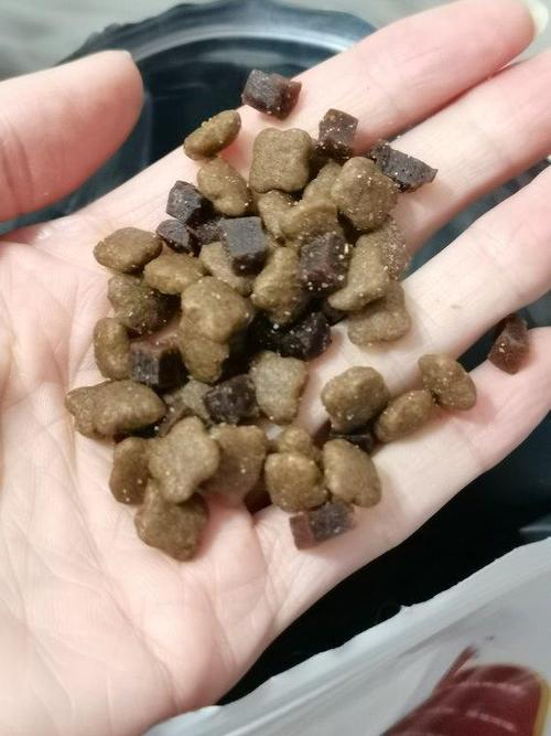 狗狗发烧小妙招,狗狗发烧治疗方法?-第4张图片-后鲨宠物 狗狗发烧小妙招,狗狗发烧治疗方法?-第4张图片-后鲨宠物