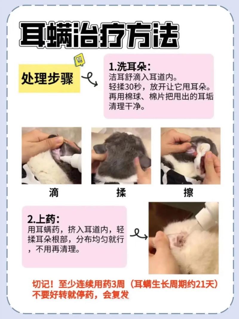 猫咪得耳螨怎么办,猫咪得耳螨严重吗-第1张图片-后鲨宠物 猫咪得耳螨怎么办,猫咪得耳螨严重吗-第1张图片-后鲨宠物