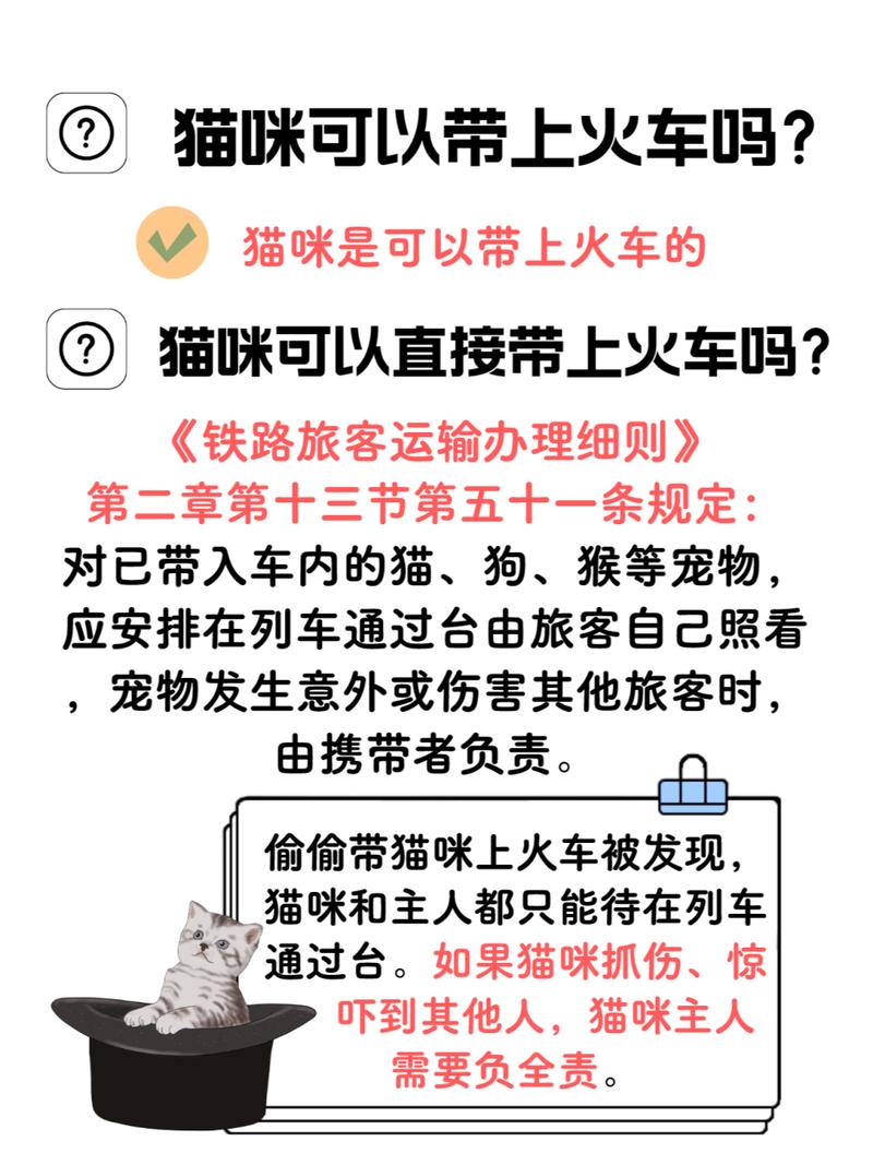 火车托运猫咪要多少钱,火车托运猫咪要多少钱一个?-第5张图片-后鲨宠物 火车托运猫咪要多少钱,火车托运猫咪要多少钱一个?-第5张图片-后鲨宠物