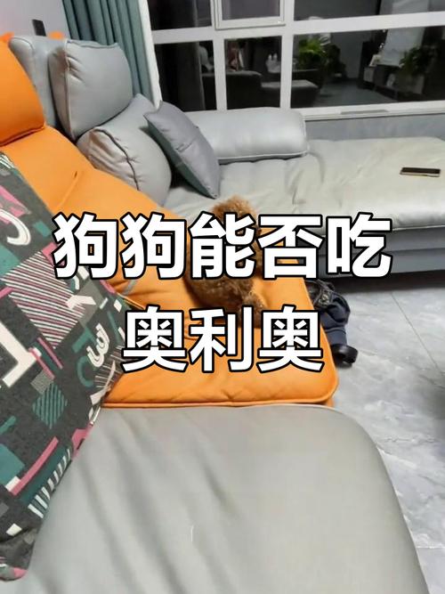 狗狗能吃奥利奥吗,狗狗能不能吃奥利奥吃了怎么办?-第2张图片-后鲨宠物 狗狗能吃奥利奥吗,狗狗能不能吃奥利奥吃了怎么办?-第2张图片-后鲨宠物