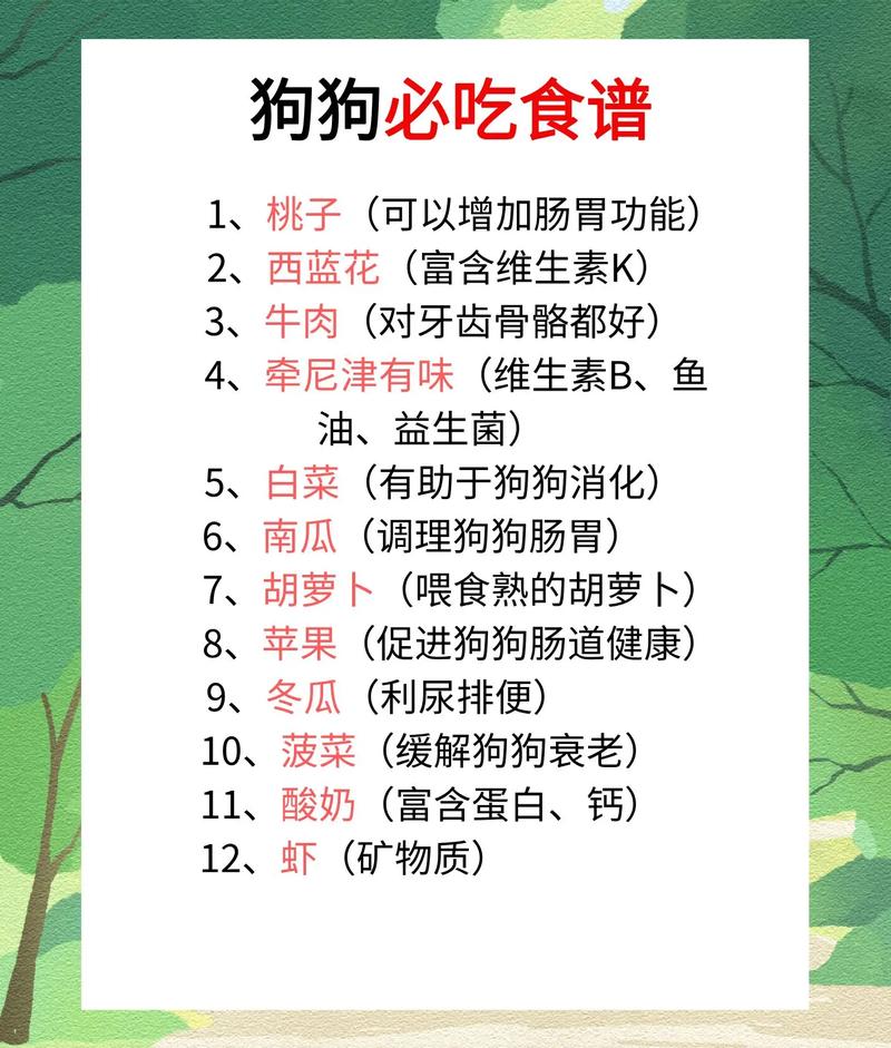狗狗吃什么对身体好,小狗可以吃什么东西-第6张图片-后鲨宠物 狗狗吃什么对身体好,小狗可以吃什么东西-第6张图片-后鲨宠物