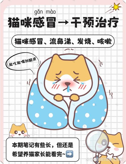 人感冒会传染给猫咪吗,猫咪感冒能自愈吗-第1张图片-后鲨宠物 人感冒会传染给猫咪吗,猫咪感冒能自愈吗-第1张图片-后鲨宠物