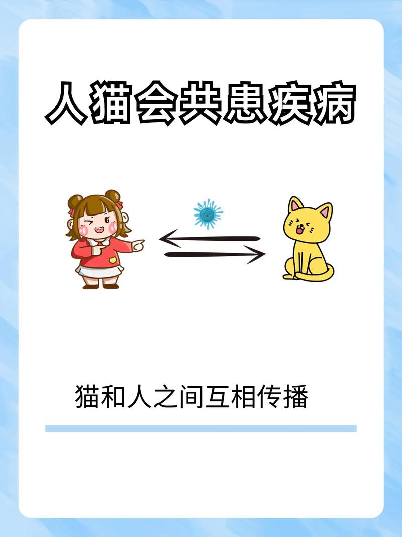 人感冒会传染给猫咪吗,猫咪感冒能自愈吗-第5张图片-后鲨宠物 人感冒会传染给猫咪吗,猫咪感冒能自愈吗-第5张图片-后鲨宠物