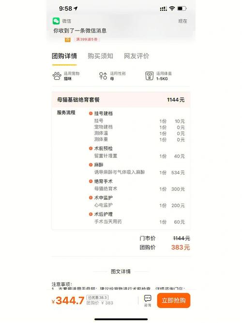 猫咪绝育手术要多少钱_猫咪绝育手术要多少钱一次-第3张图片-后鲨宠物 猫咪绝育手术要多少钱_猫咪绝育手术要多少钱一次-第3张图片-后鲨宠物