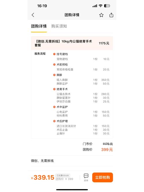 猫咪绝育手术要多少钱_猫咪绝育手术要多少钱一次-第6张图片-后鲨宠物 猫咪绝育手术要多少钱_猫咪绝育手术要多少钱一次-第6张图片-后鲨宠物