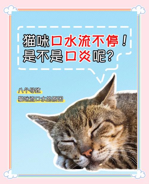 猫猫流口水是什么原因_猫咪流口水是为啥-第3张图片-后鲨宠物 猫猫流口水是什么原因_猫咪流口水是为啥-第3张图片-后鲨宠物