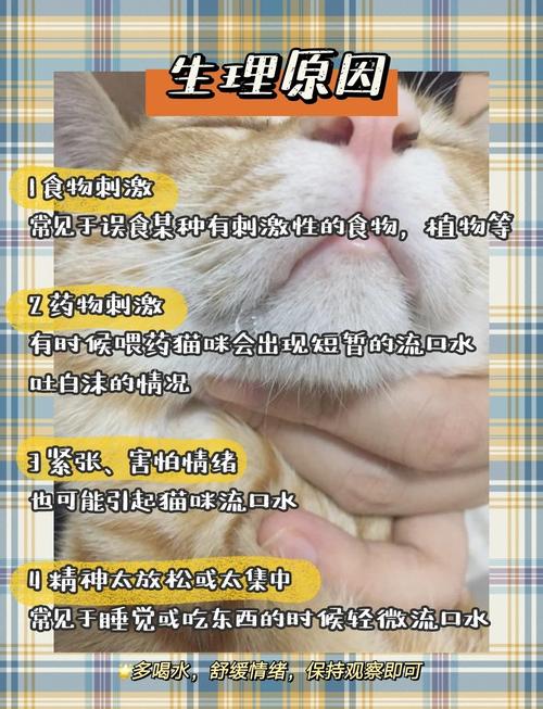 猫猫流口水是什么原因_猫咪流口水是为啥-第4张图片-后鲨宠物 猫猫流口水是什么原因_猫咪流口水是为啥-第4张图片-后鲨宠物