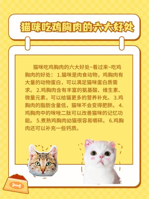 猫咪多久吃一次鸡胸肉_鸡胸肉喂猫的正确方法-第1张图片-后鲨宠物 猫咪多久吃一次鸡胸肉_鸡胸肉喂猫的正确方法-第1张图片-后鲨宠物