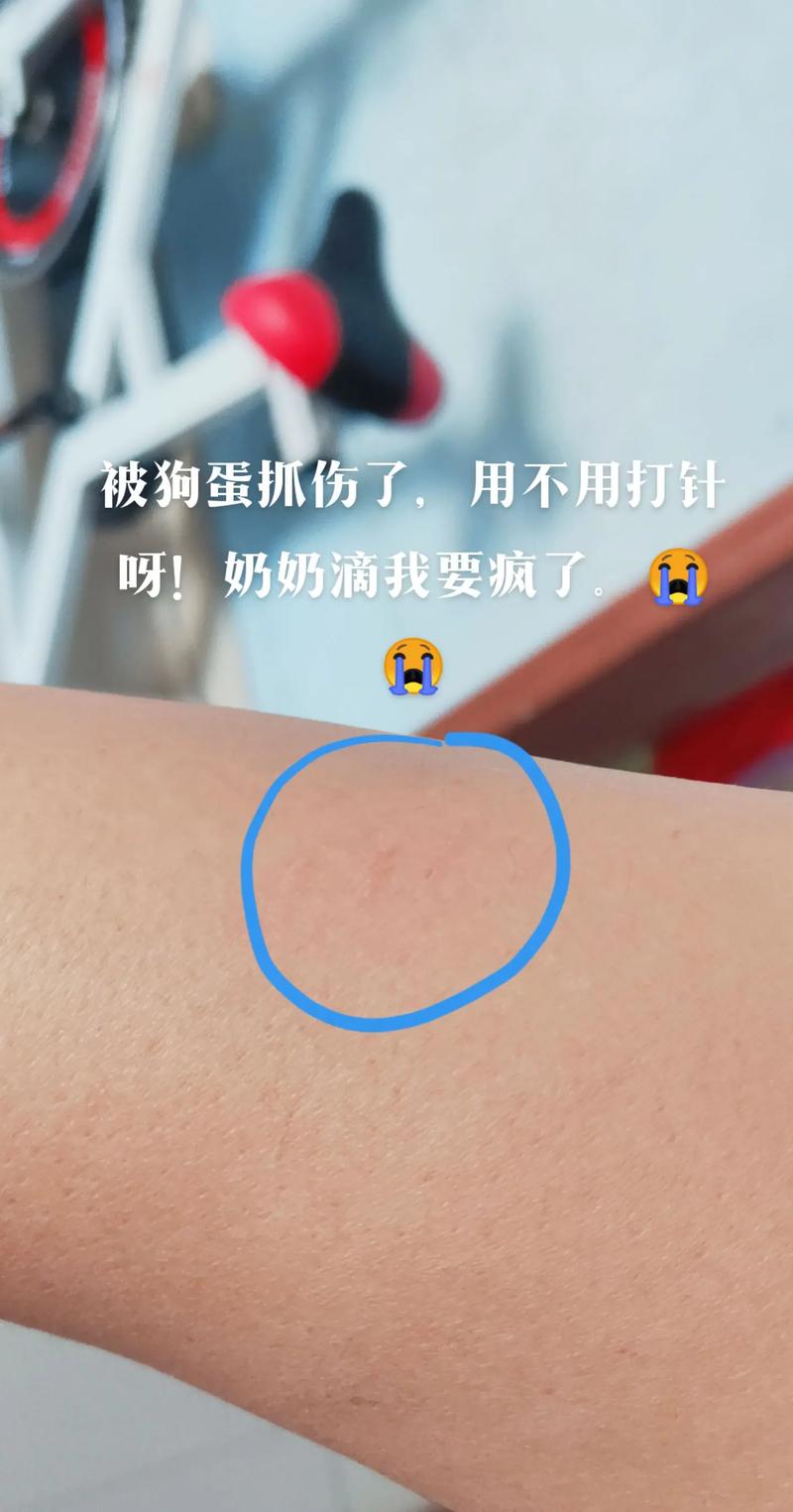 狗狗皮肤破了怎么办,狗狗皮肤病破皮-第5张图片-后鲨宠物 狗狗皮肤破了怎么办,狗狗皮肤病破皮-第5张图片-后鲨宠物