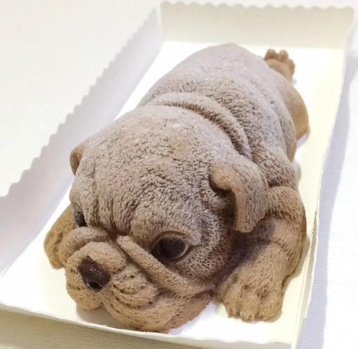 狗狗能吃芝士吗_狗子能吃芝士吗?-第4张图片-后鲨宠物 狗狗能吃芝士吗_狗子能吃芝士吗?-第4张图片-后鲨宠物