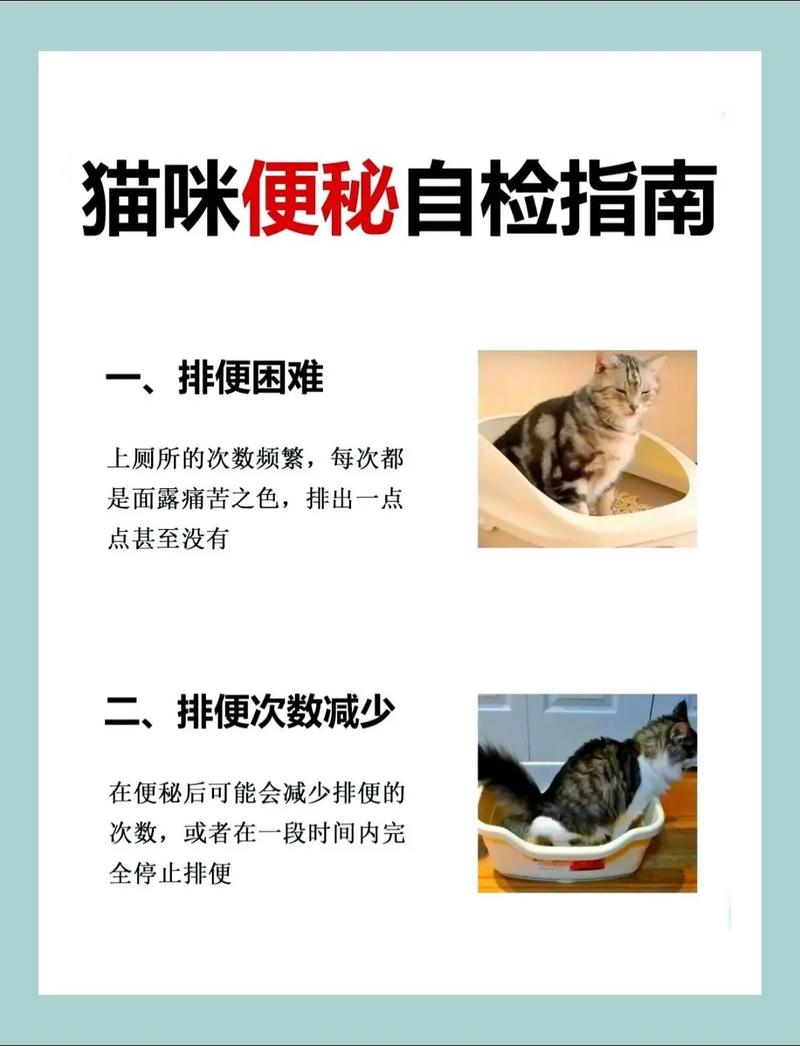 怎么给猫咪铲屎,怎么给猫咪铲屎拉屎-第2张图片-后鲨宠物 怎么给猫咪铲屎,怎么给猫咪铲屎拉屎-第2张图片-后鲨宠物