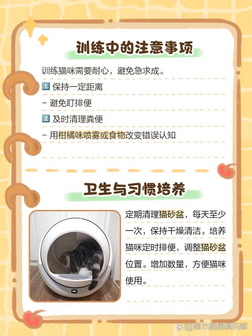 怎么给猫咪铲屎,怎么给猫咪铲屎拉屎-第3张图片-后鲨宠物 怎么给猫咪铲屎,怎么给猫咪铲屎拉屎-第3张图片-后鲨宠物