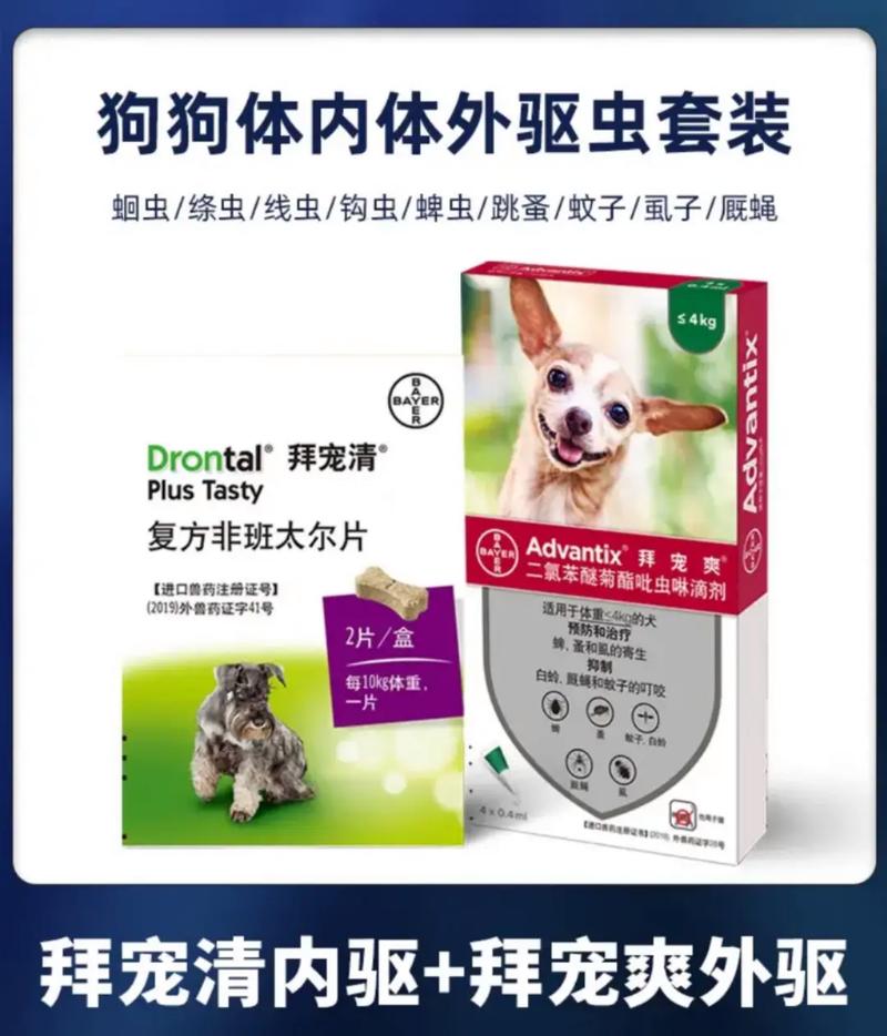 狗狗驱虫药要空腹吃吗,狗驱虫药要空肚子吃吗-第4张图片-后鲨宠物 狗狗驱虫药要空腹吃吗,狗驱虫药要空肚子吃吗-第4张图片-后鲨宠物