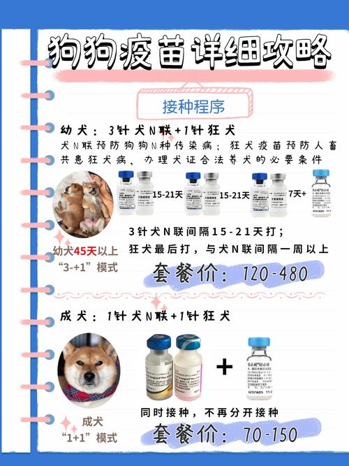 给狗狗打疫苗多少钱,给狗打疫苗一般多钱?-第2张图片-后鲨宠物 给狗狗打疫苗多少钱,给狗打疫苗一般多钱?-第2张图片-后鲨宠物