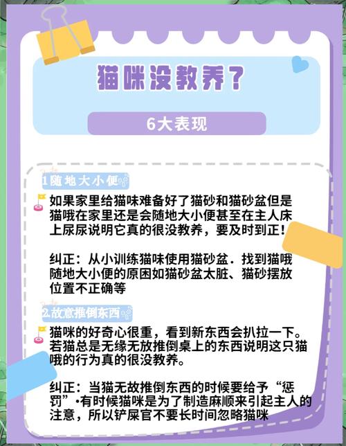 猫咪不活泼怎么办,猫不活泼正常吗-第1张图片-后鲨宠物 猫咪不活泼怎么办,猫不活泼正常吗-第1张图片-后鲨宠物
