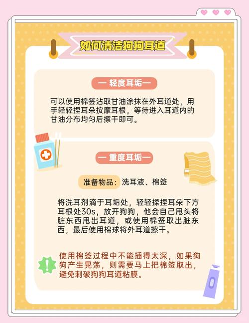 狗狗耳朵怎么清理_狗狗耳朵清理方法-第1张图片-后鲨宠物 狗狗耳朵怎么清理_狗狗耳朵清理方法-第1张图片-后鲨宠物