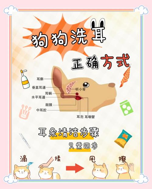 狗狗耳朵怎么清理_狗狗耳朵清理方法-第3张图片-后鲨宠物 狗狗耳朵怎么清理_狗狗耳朵清理方法-第3张图片-后鲨宠物