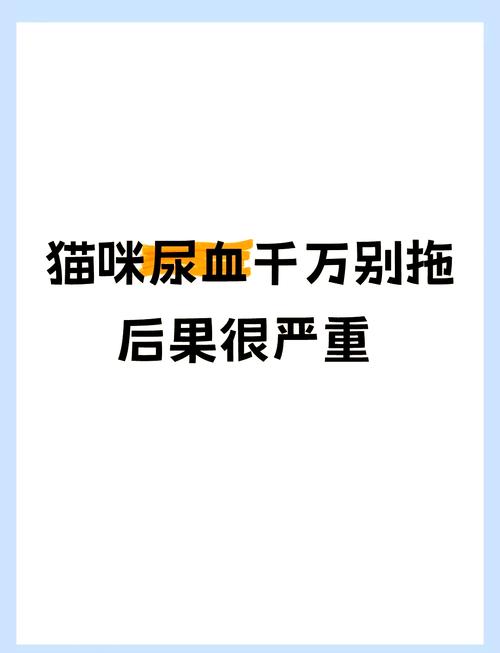 猫咪血尿怎么办_猫咪血尿能自愈吗-第1张图片-后鲨宠物 猫咪血尿怎么办_猫咪血尿能自愈吗-第1张图片-后鲨宠物