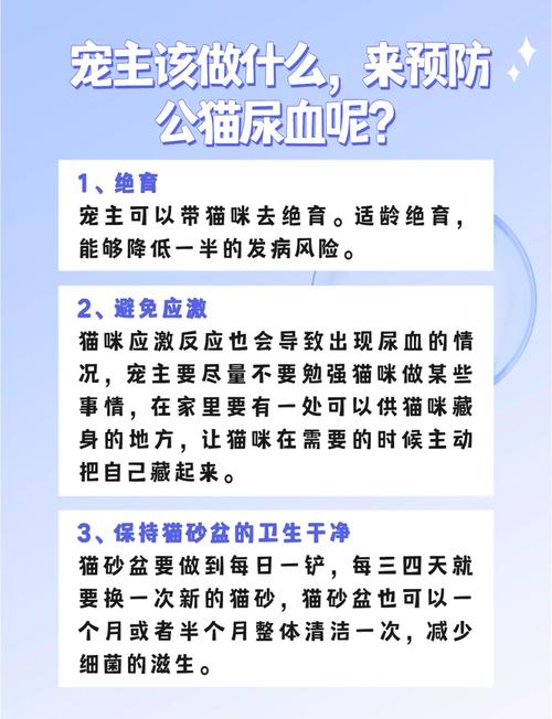 猫咪血尿怎么办_猫咪血尿能自愈吗-第2张图片-后鲨宠物 猫咪血尿怎么办_猫咪血尿能自愈吗-第2张图片-后鲨宠物