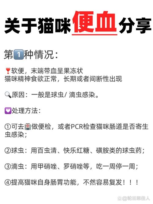 猫咪血尿怎么办_猫咪血尿能自愈吗-第3张图片-后鲨宠物 猫咪血尿怎么办_猫咪血尿能自愈吗-第3张图片-后鲨宠物