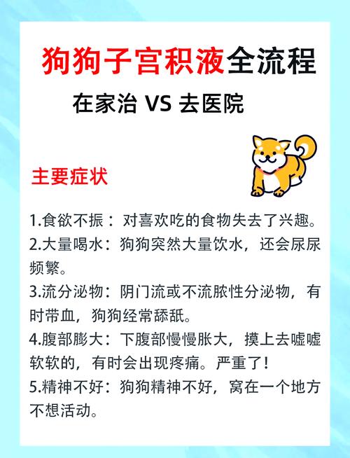 狗狗腹部积水吃什么药,狗狗腹部积水吃什么食物-第3张图片-后鲨宠物 狗狗腹部积水吃什么药,狗狗腹部积水吃什么食物-第3张图片-后鲨宠物