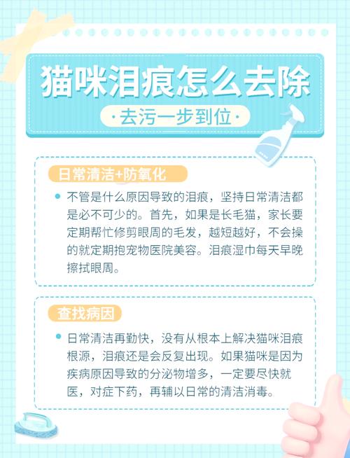 怎么去除猫咪泪痕,如何去除猫咪泪痕?-第1张图片-后鲨宠物 怎么去除猫咪泪痕,如何去除猫咪泪痕?-第1张图片-后鲨宠物