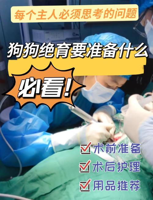 狗狗拆线后会裂伤口吗_狗狗拆线后注意事项-第6张图片-后鲨宠物 狗狗拆线后会裂伤口吗_狗狗拆线后注意事项-第6张图片-后鲨宠物