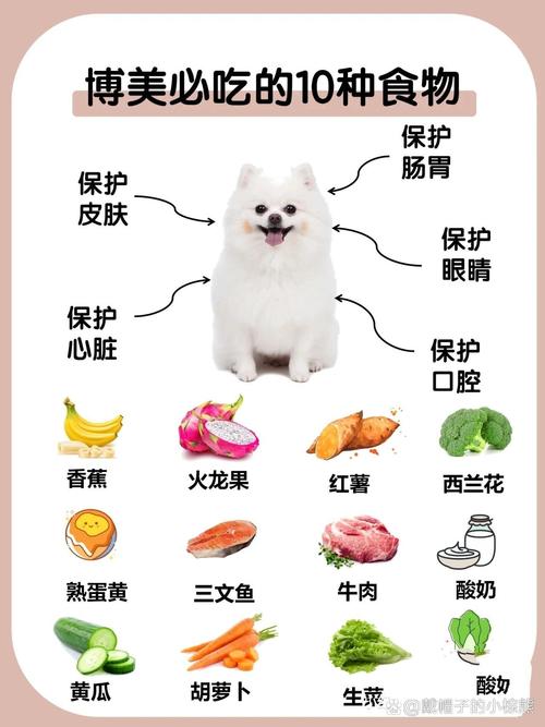 两三个月的狗狗吃什么_两三个月的狗狗可以吃什么-第2张图片-后鲨宠物 两三个月的狗狗吃什么_两三个月的狗狗可以吃什么-第2张图片-后鲨宠物