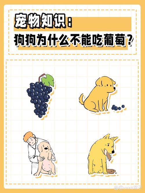 狗狗能吃葡萄糖吗,狗能吃葡萄糖水吗?-第4张图片-后鲨宠物 狗狗能吃葡萄糖吗,狗能吃葡萄糖水吗?-第4张图片-后鲨宠物