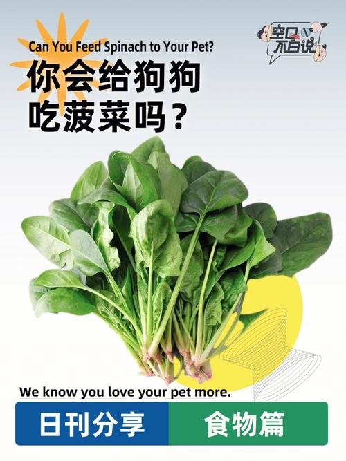 狗狗能吃菠菜吗,狗狗吐黄水?-第3张图片-后鲨宠物 狗狗能吃菠菜吗,狗狗吐黄水?-第3张图片-后鲨宠物