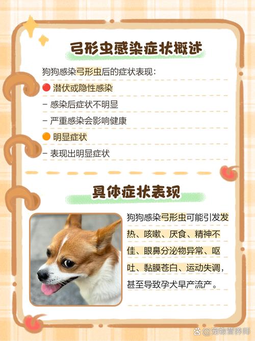 弓形虫狗狗什么症状_狗 弓形虫症状-第3张图片-后鲨宠物 弓形虫狗狗什么症状_狗 弓形虫症状-第3张图片-后鲨宠物