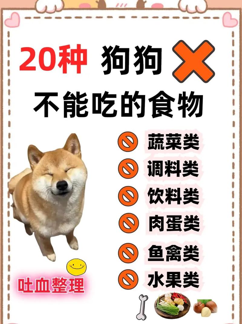 小狗狗不吃饭怎么办,小狗狗不吃饭怎么办视频-第4张图片-后鲨宠物 小狗狗不吃饭怎么办,小狗狗不吃饭怎么办视频-第4张图片-后鲨宠物