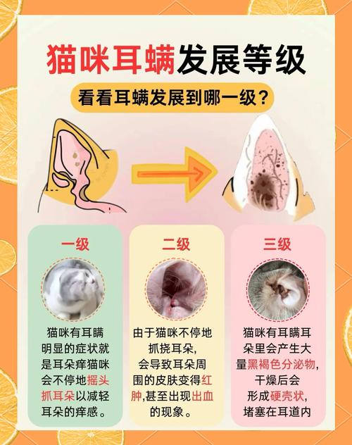 猫咪耳螨是怎么引起的,猫咪耳螨用什么药便宜又好用?-第3张图片-后鲨宠物 猫咪耳螨是怎么引起的,猫咪耳螨用什么药便宜又好用?-第3张图片-后鲨宠物